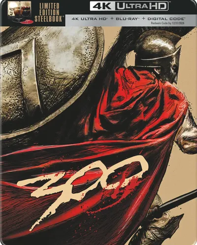 Póster de 300