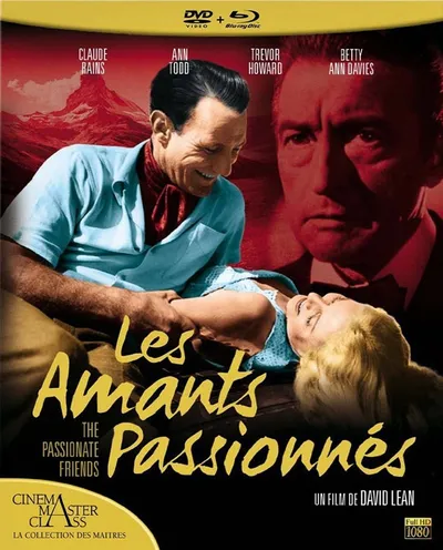 Póster de Amigos apasionados