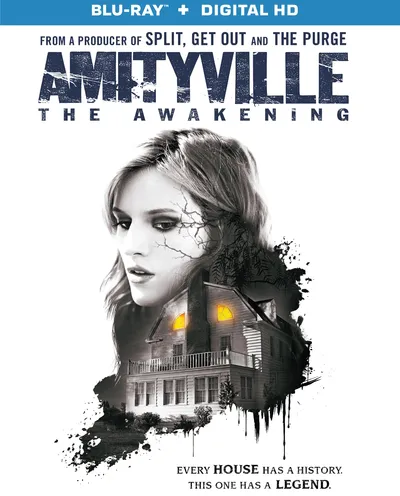 Póster de Amityville: El despertar