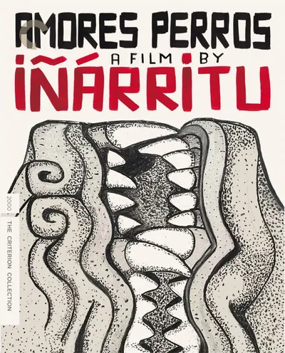 Póster de Amores Perros