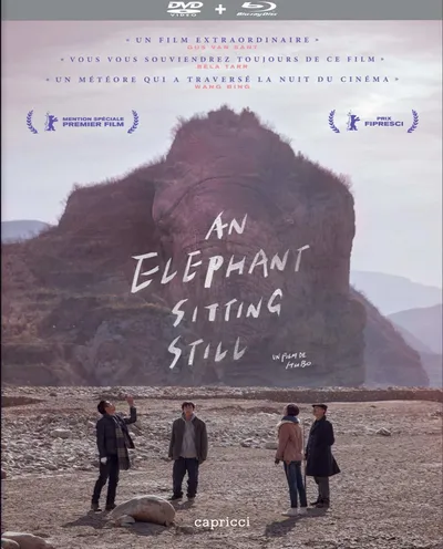 Póster de An Elephant Sitting Still