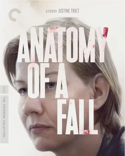 Póster de Anatomía de una caída