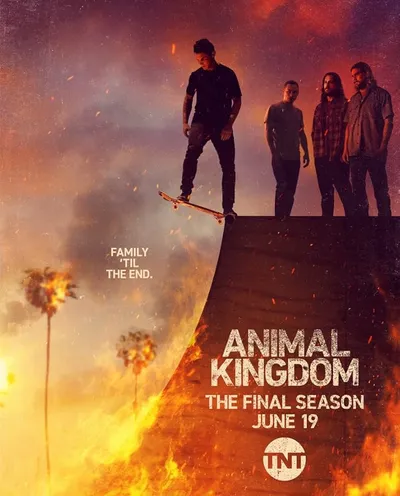 Póster de Animal Kingdom