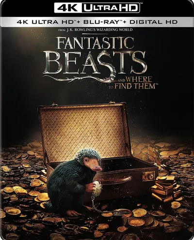 Póster de Animales fantásticos y dónde encontrarlos