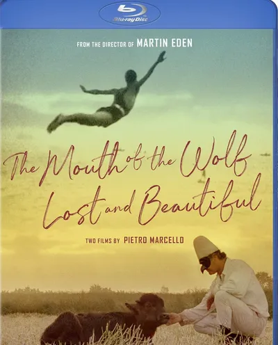 Póster de Bella y perdida
