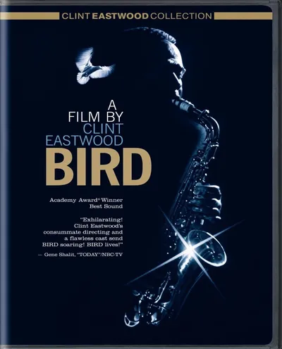 Póster de Bird
