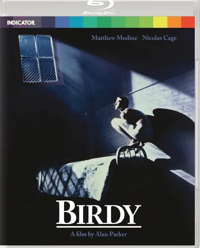 Póster de Birdy