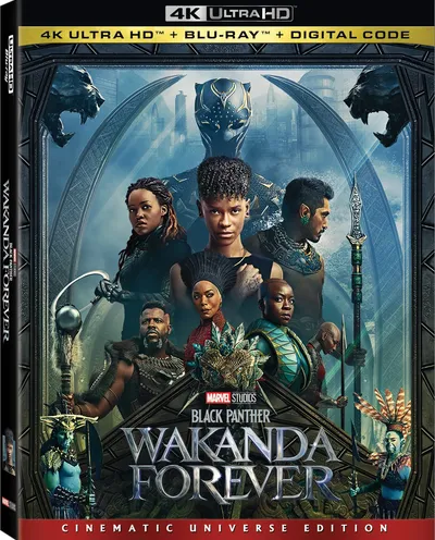 Póster de Black Panther: Wakanda Forever