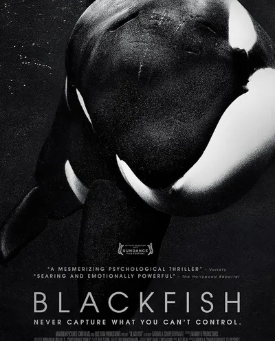 Póster de Blackfish