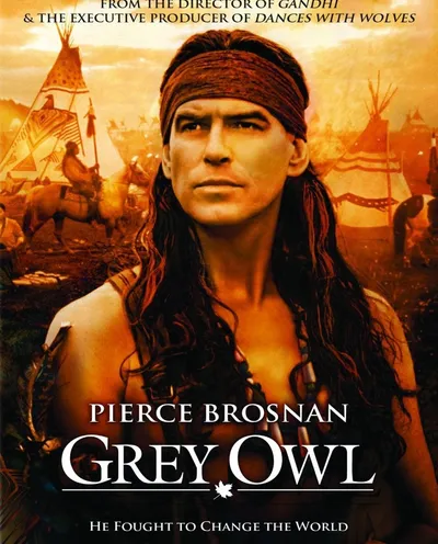 Póster de Búho gris