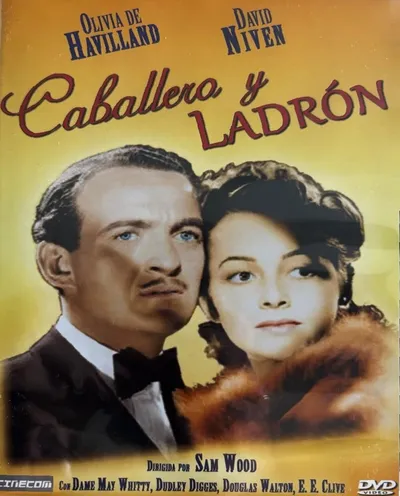 Póster de Caballero y ladrón
