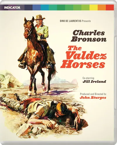 Póster de Caballos salvajes (Chino)