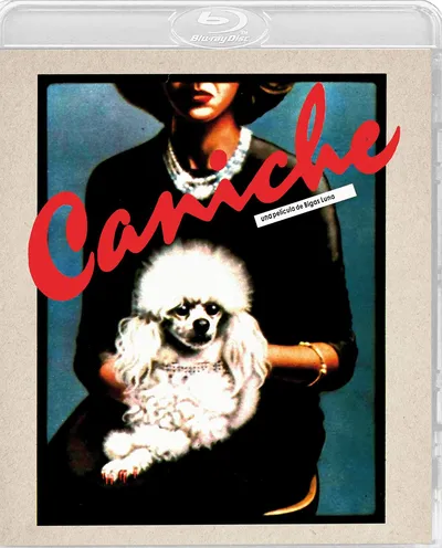 Póster de Caniche