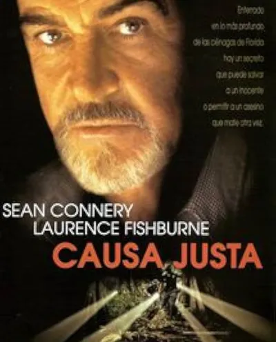 Póster de Causa justa
