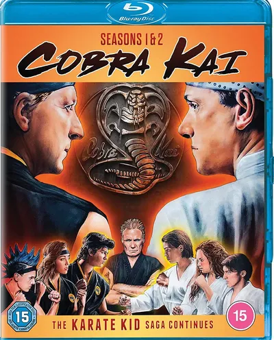 Póster de Cobra Kai