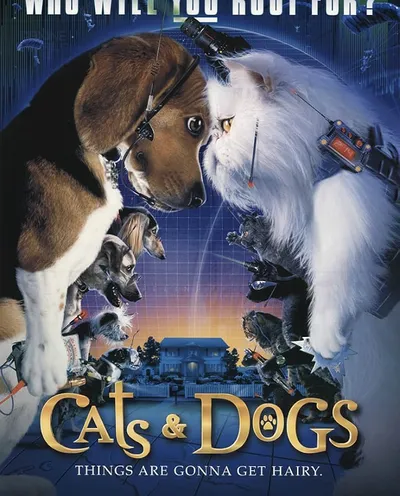 Póster de Como perros y gatos