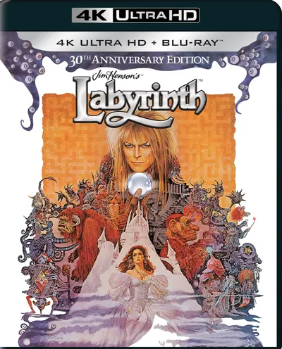 Póster de Dentro del laberinto