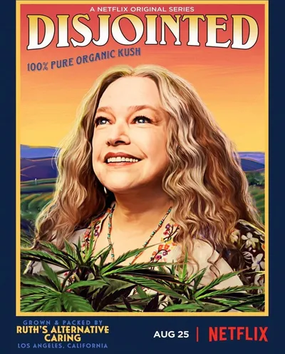 Póster de Descolocados