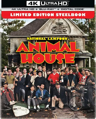 Póster de Desmadre a la americana