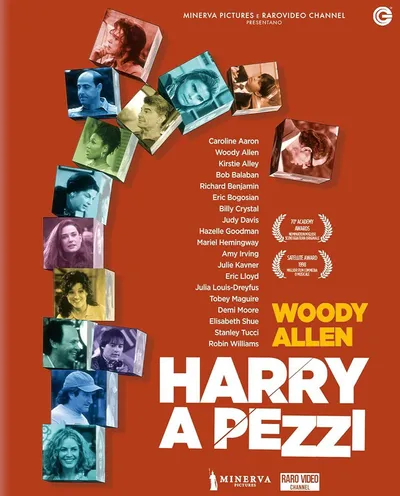 Póster de Desmontando a Harry