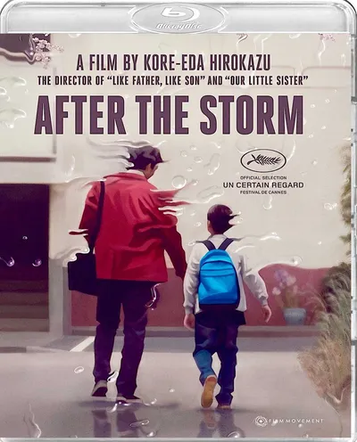 Póster de Después de la tormenta