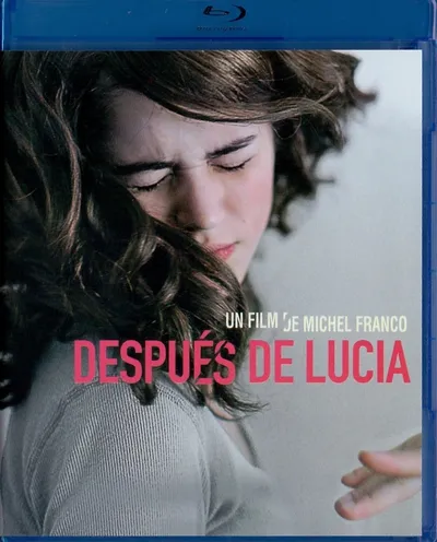Póster de Después de Lucía