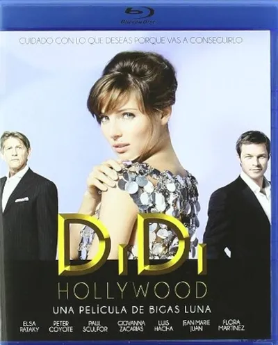 Póster de DiDi Hollywood