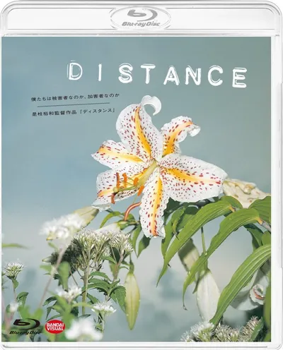 Póster de Distance