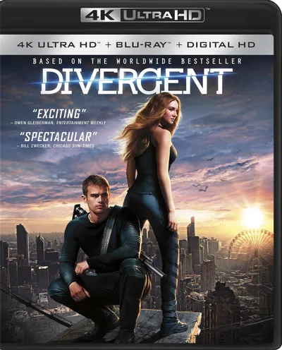 Póster de Divergente