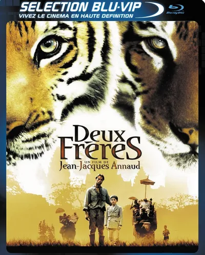 Póster de Dos hermanos