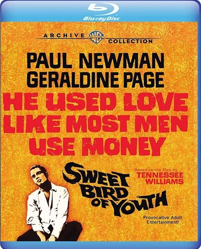 Póster de Dulce pájaro de juventud