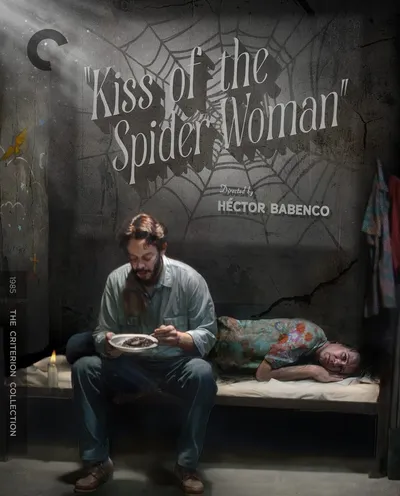 Póster de El beso de la mujer araña
