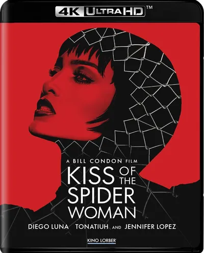 Póster de El beso de la mujer araña