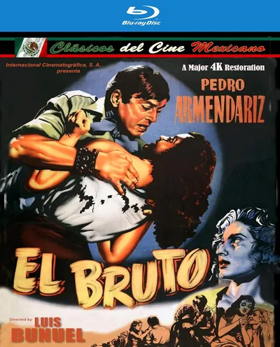 Póster de El bruto