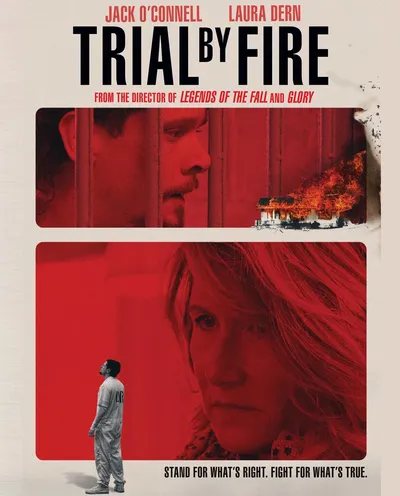 Póster de El caso Willingham