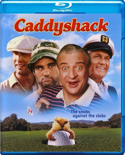 Póster de El club de los chalados