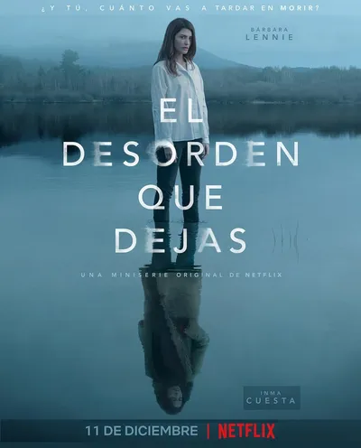 Póster de El desorden que dejas