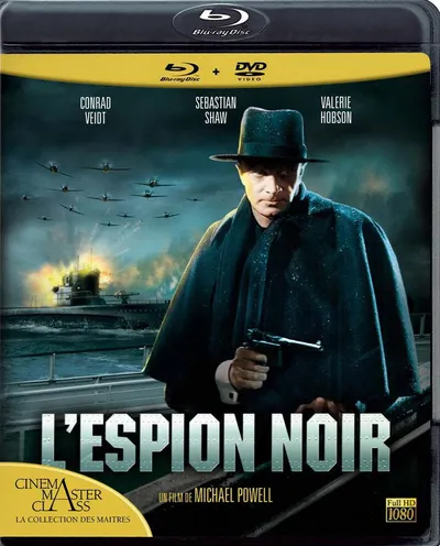 Póster de El espía negro