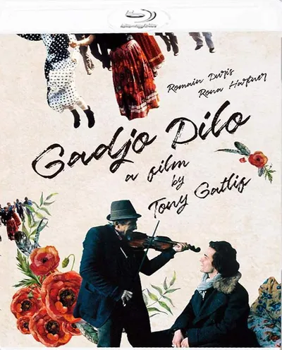 Póster de El extranjero loco