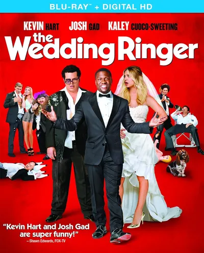 Póster de El gurú de las bodas