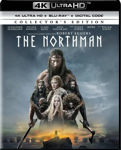 Póster de El hombre del norte