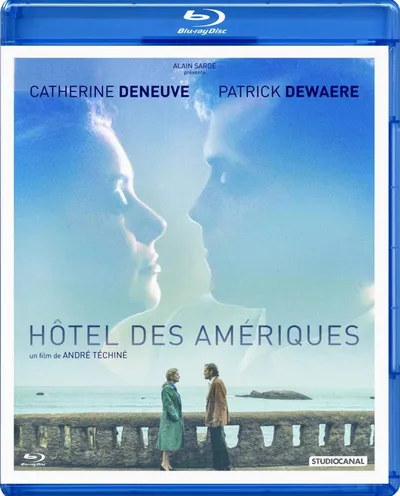 Póster de El hotel de las Américas