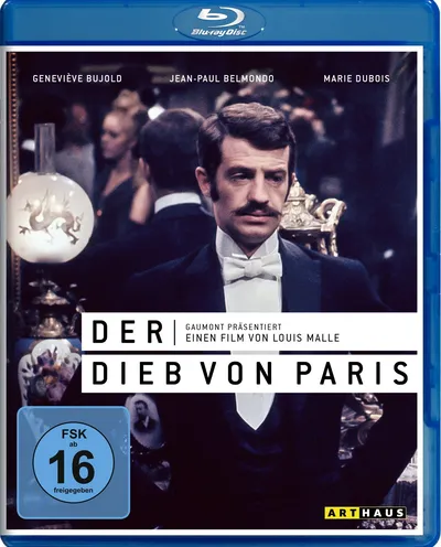 Póster de El ladrón de París
