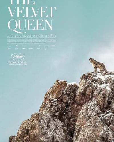 Póster de El leopardo de las nieves