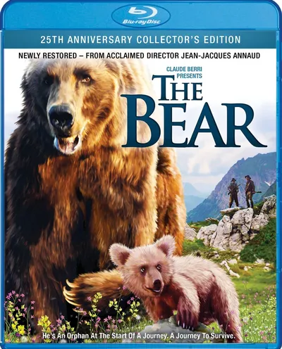 Póster de El oso