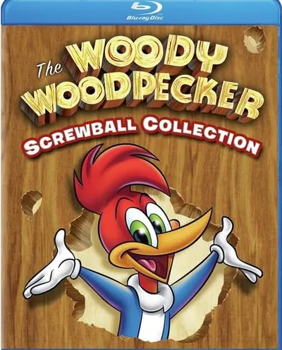 Póster de El pájaro loco