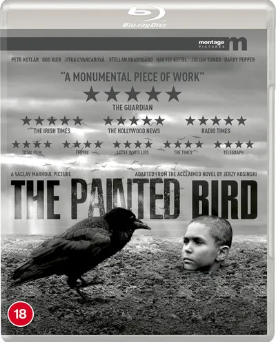 Póster de El pájaro pintado