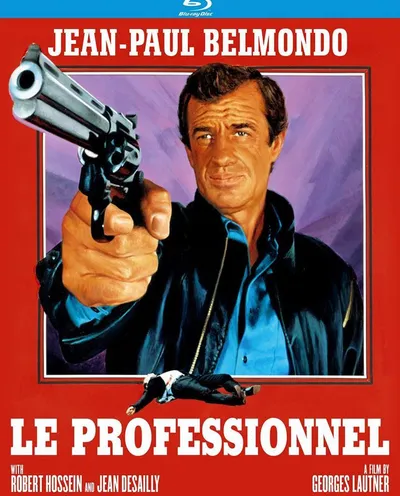 Póster de El profesional