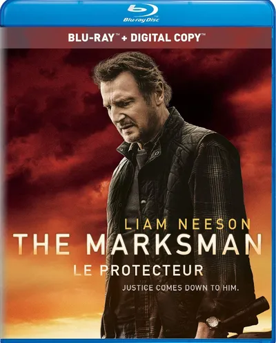 Póster de El protector