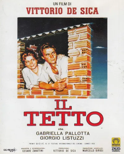 Póster de El techo